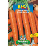 Seme Lortolano Korenje Nantes Clodia 2- big pack