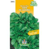 Motovilec Verte de Cambrai 50g, l'ortolano