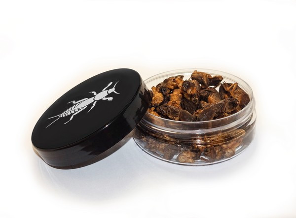 Suhe kobilice Dried Horse Louse 9g