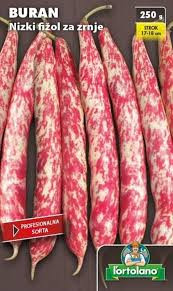 Fižol nizki za zrnje, Buran 250g