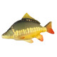 Vzglavnik Gaby Pillow Carp 60cm